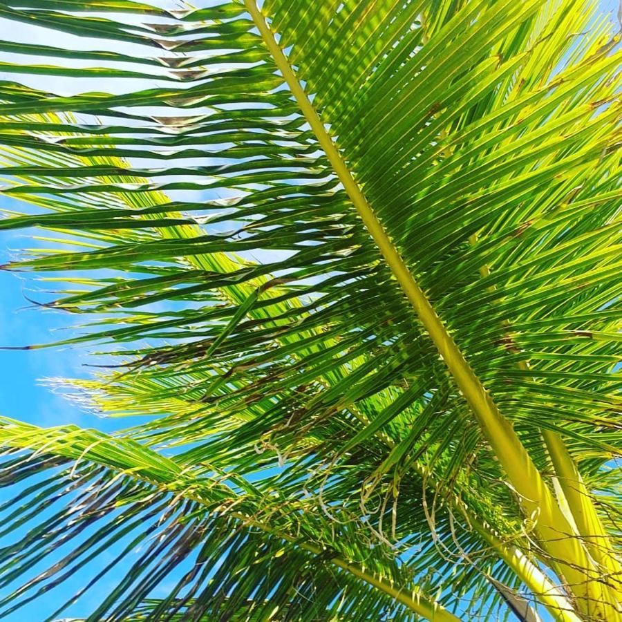Praia De Itacimirim, Pe Na Areia Ngoại thất bức ảnh