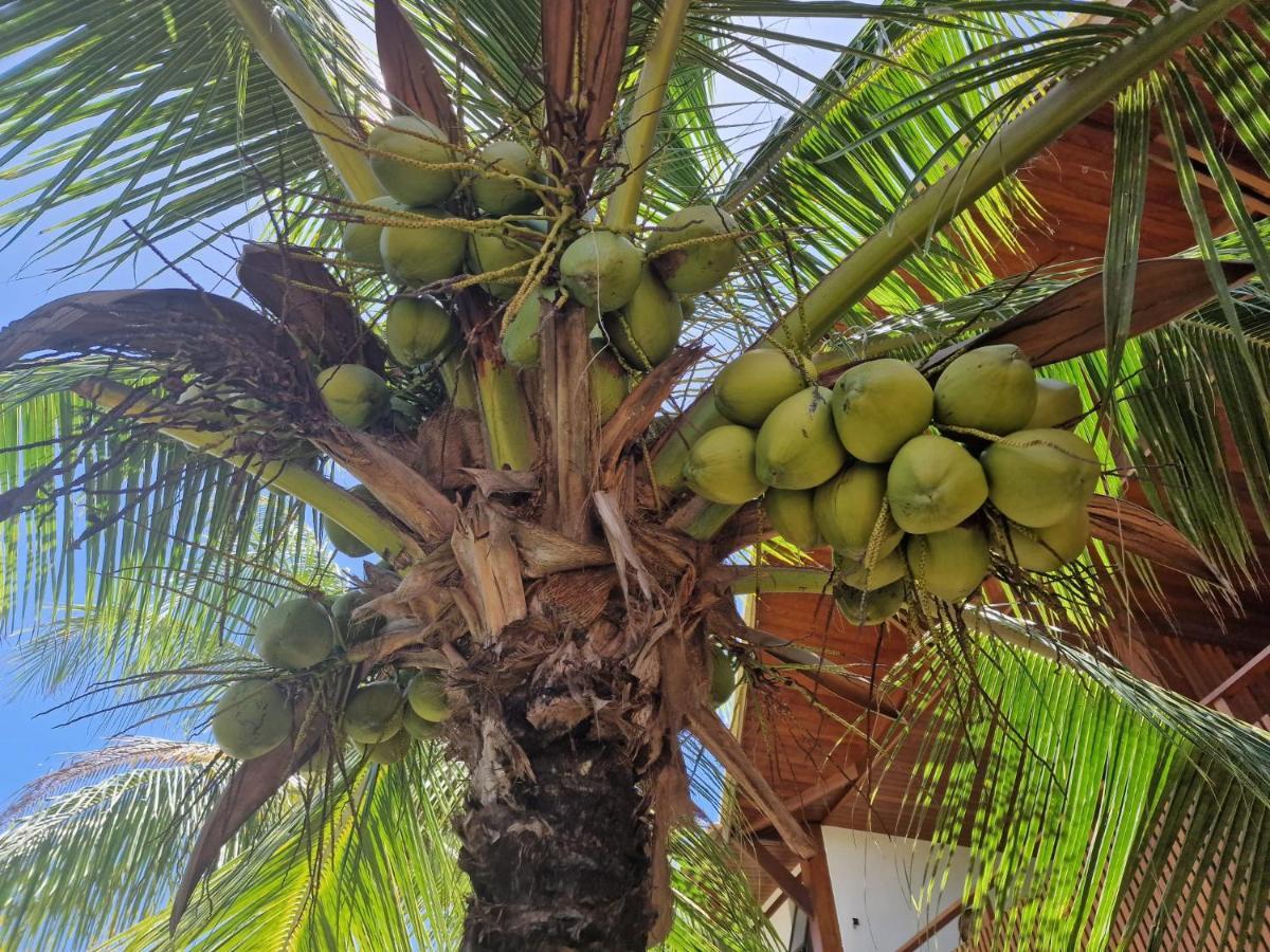Praia De Itacimirim, Pe Na Areia Ngoại thất bức ảnh